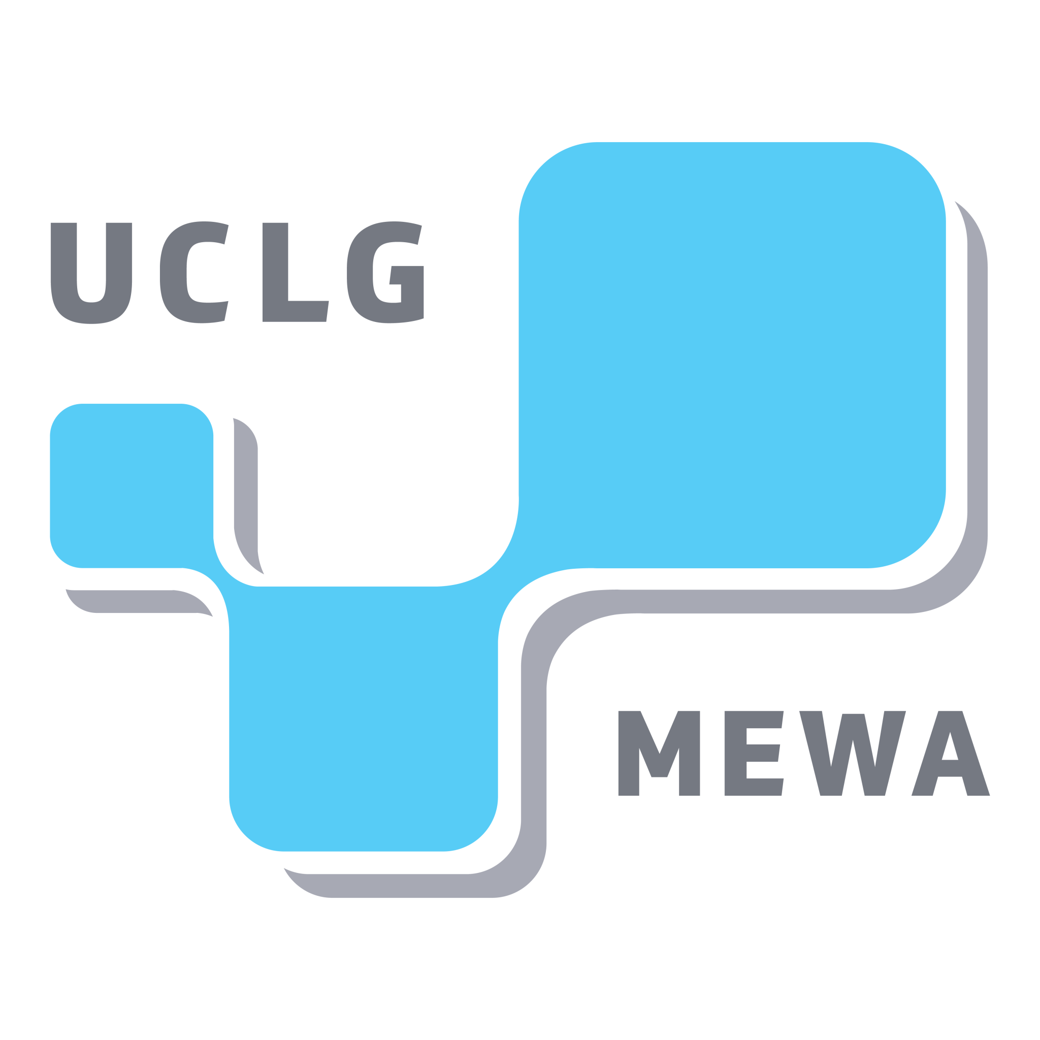 CGLU-MEWA (Cités et Gouvernements Locaux Unis Région Moyen-Orient et Asie de l'Ouest)