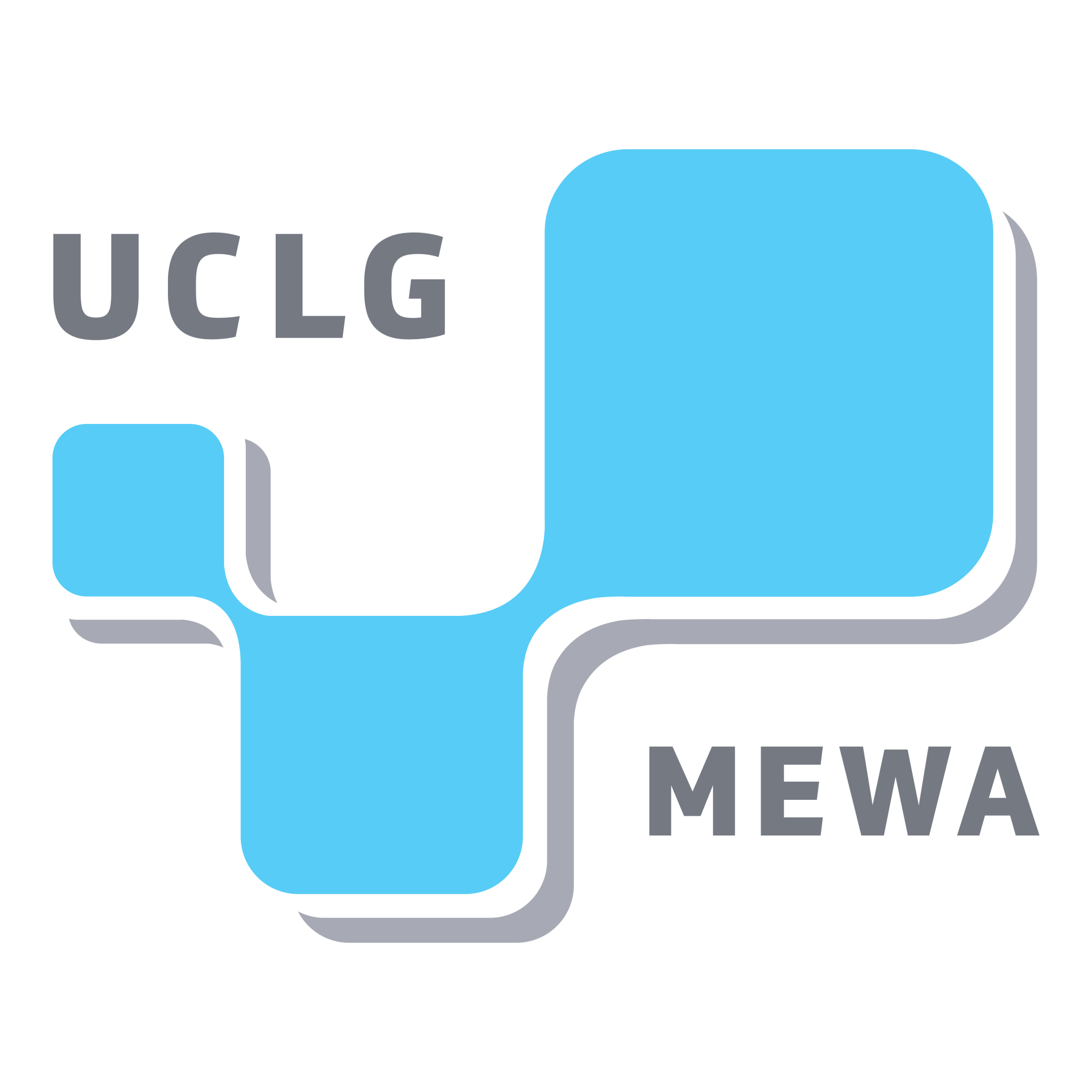 CGLU-MEWA (Ciudades y Gobiernos Locales Unidos Región de Oriente Medio y Asia Occidental)