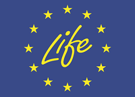 LIFE PACT