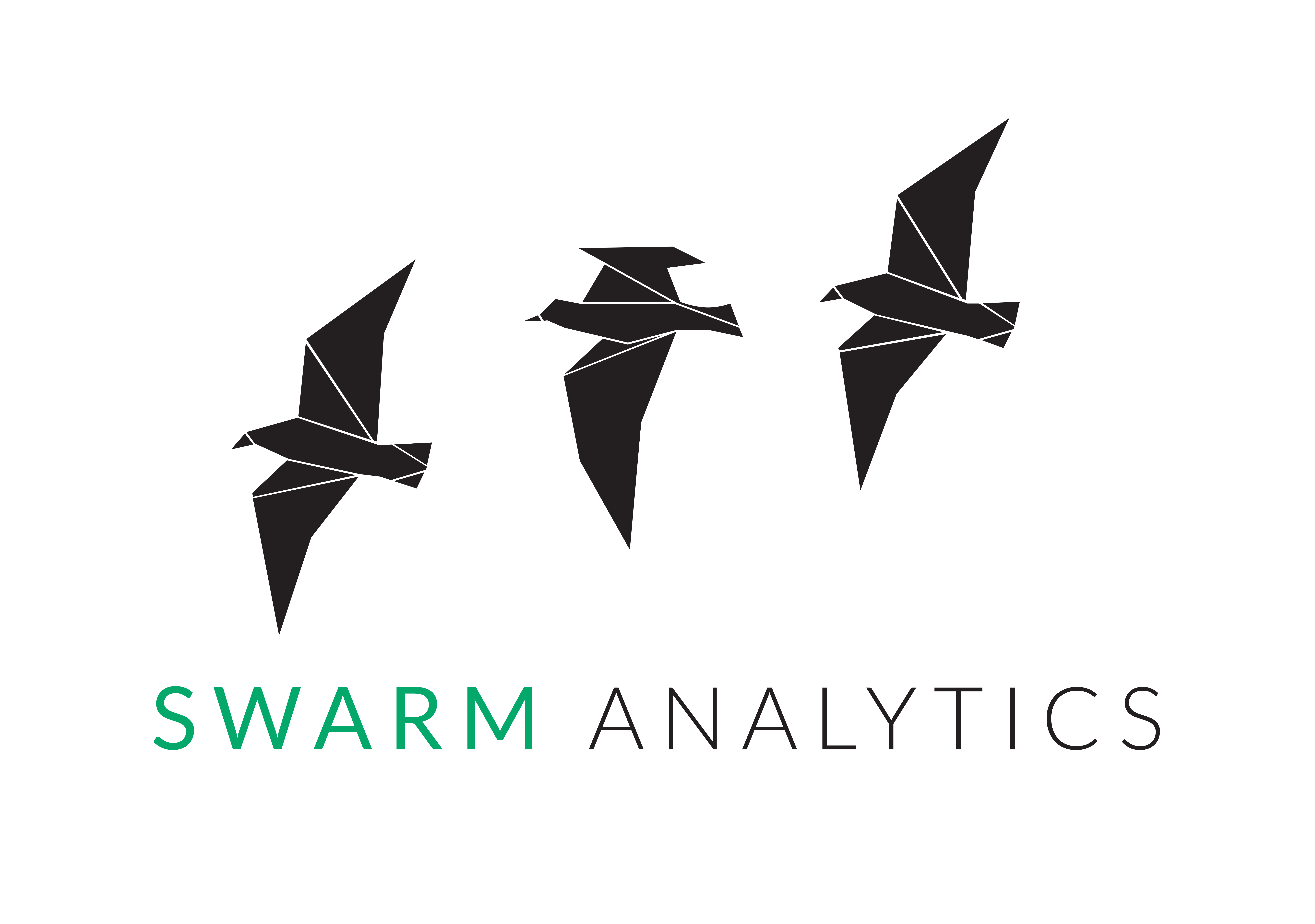 Swarm Analytics GmbH