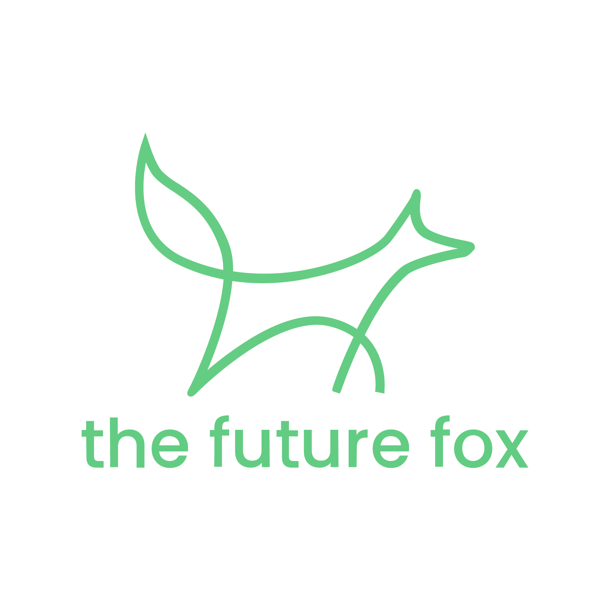 The Future Fox