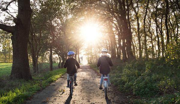 World Bicycle Day