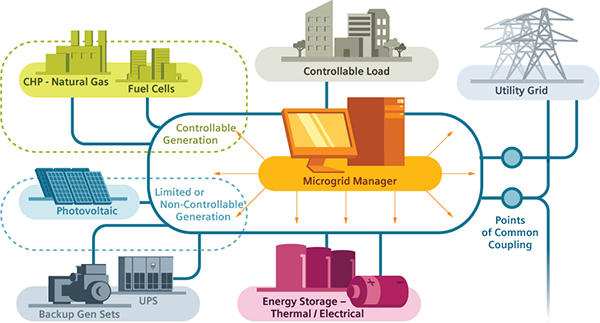 Micro-grid management system