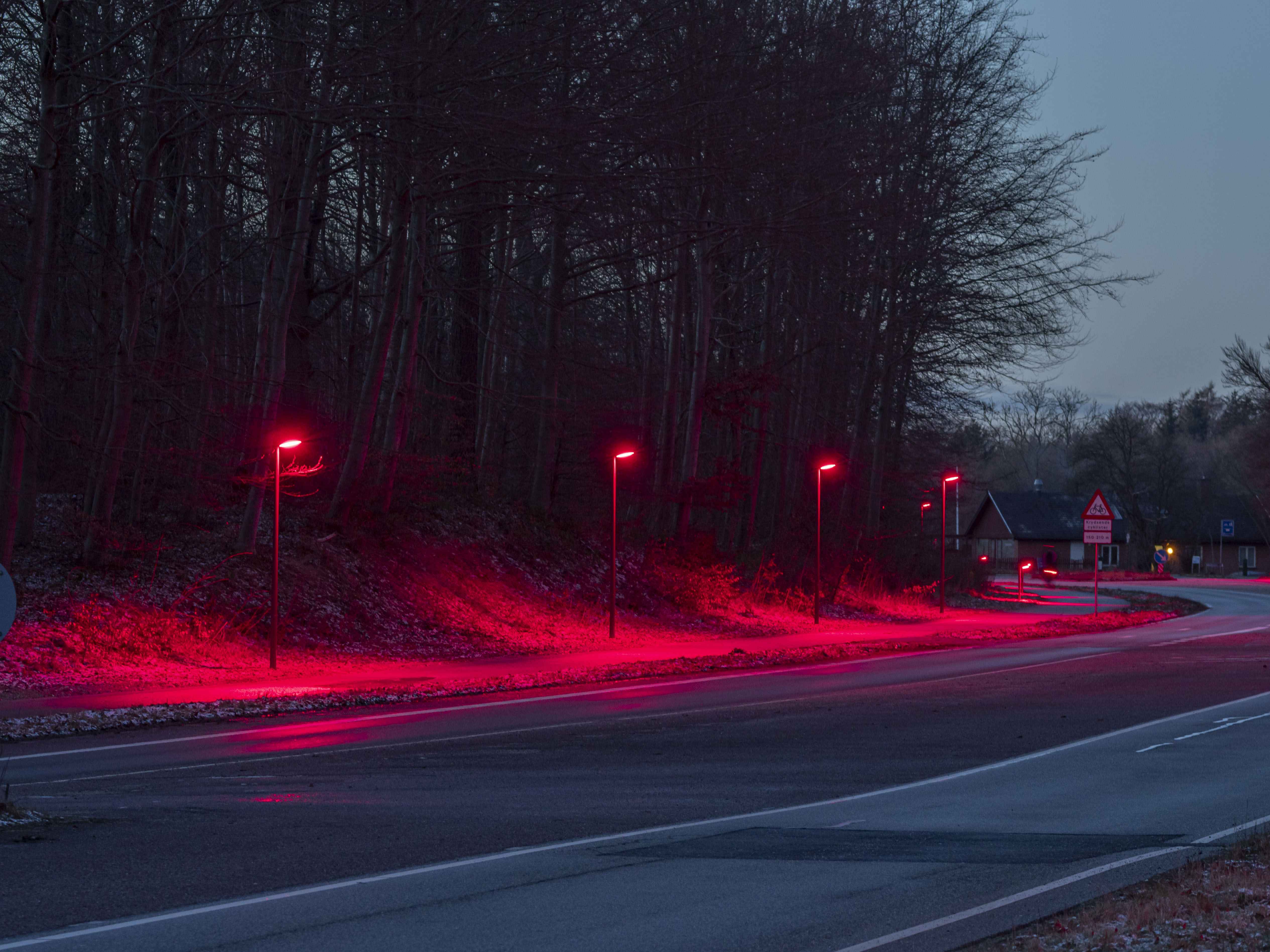 Bat-Friendly LED Street Lighting