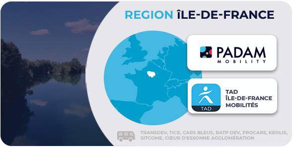 A vast on-demand transport network for the Paris region