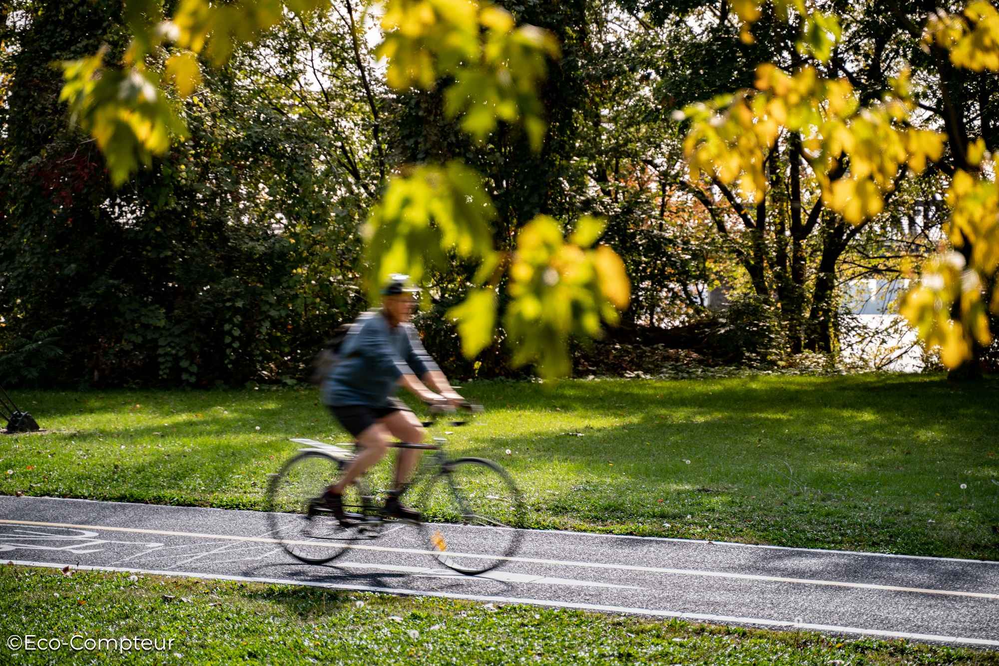 Permanent cycle traffic counter