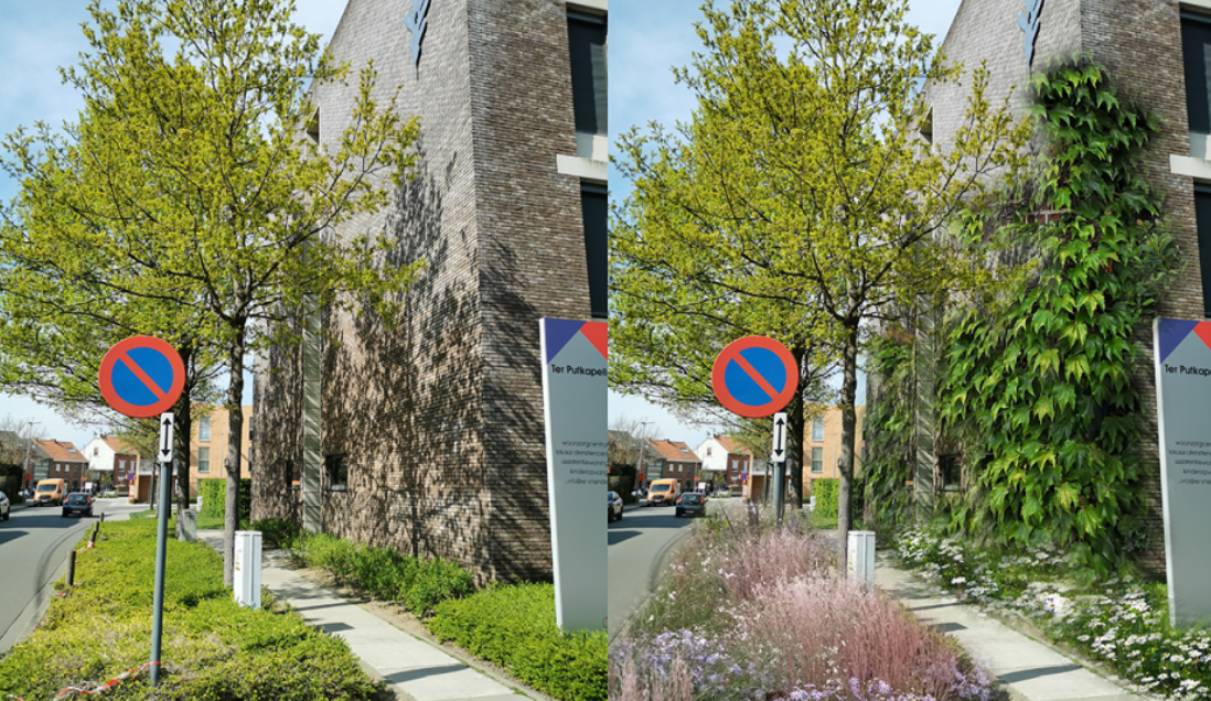 More Biodiversity and Greenery at Residential Care Centres
