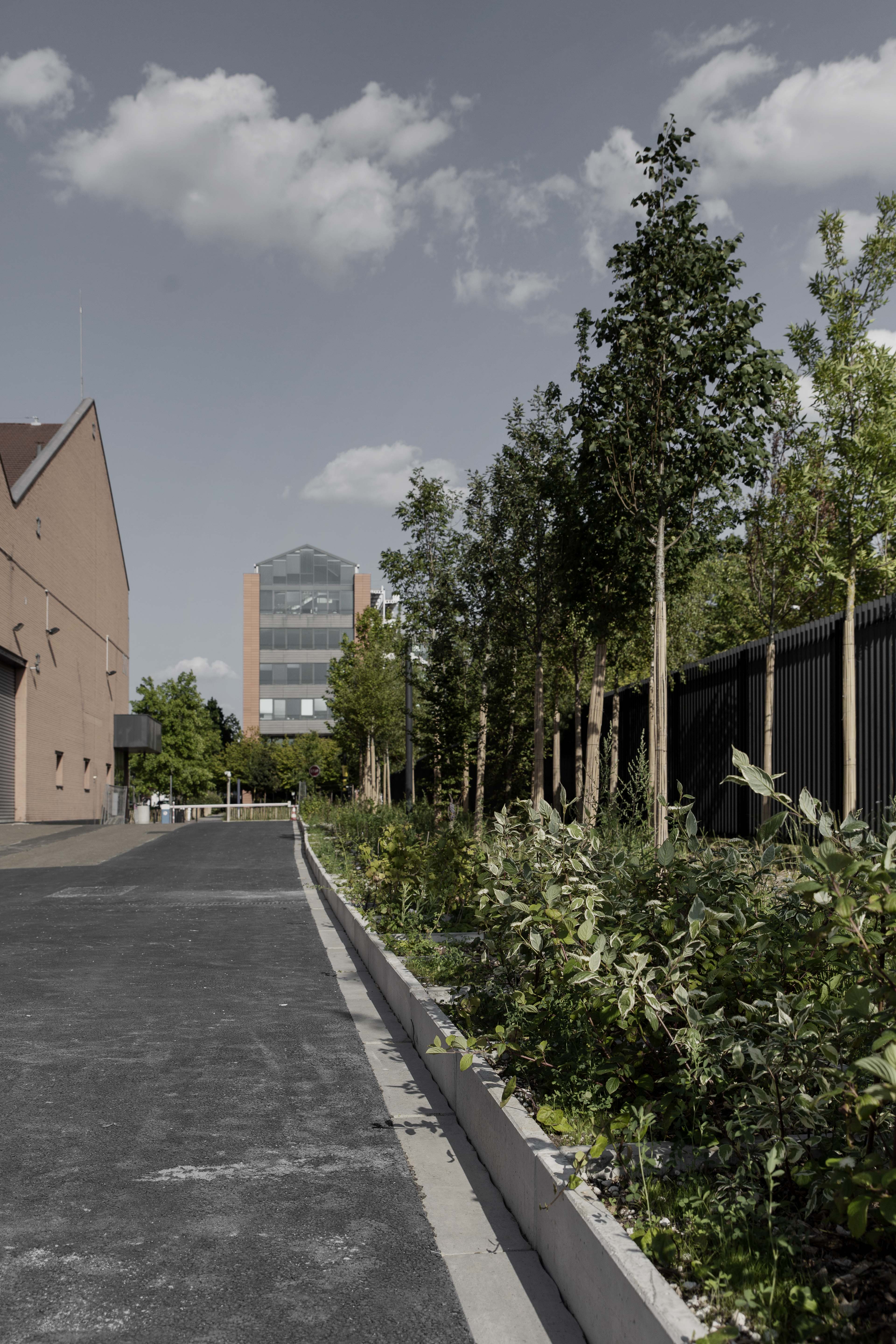 Water-sufficient planted street in VERTUO Origin