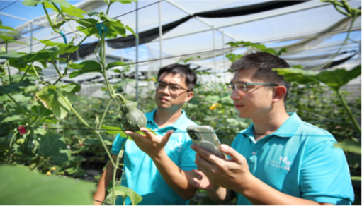 Youth Agriculture Ecosystem