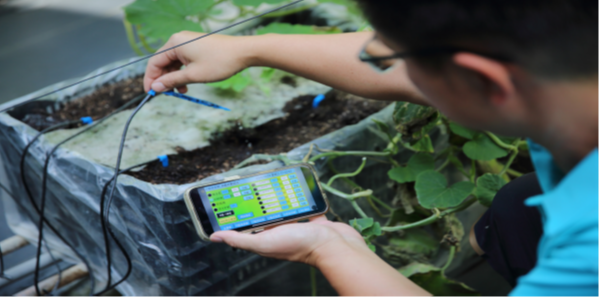 Tipsy Farm Smart Agriculture
