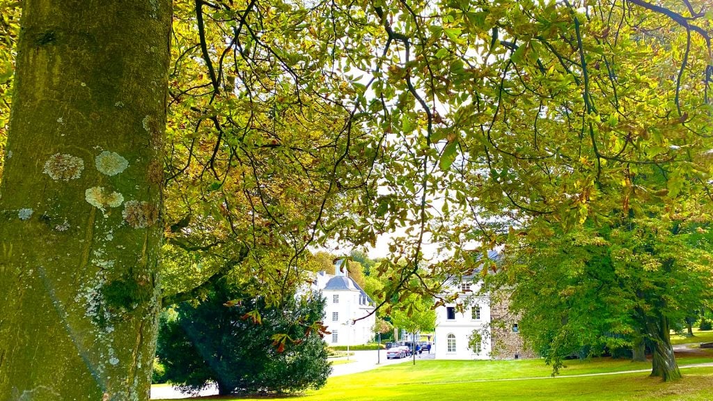 TreeCop - Sensors control watering of urban trees in the city of Essen