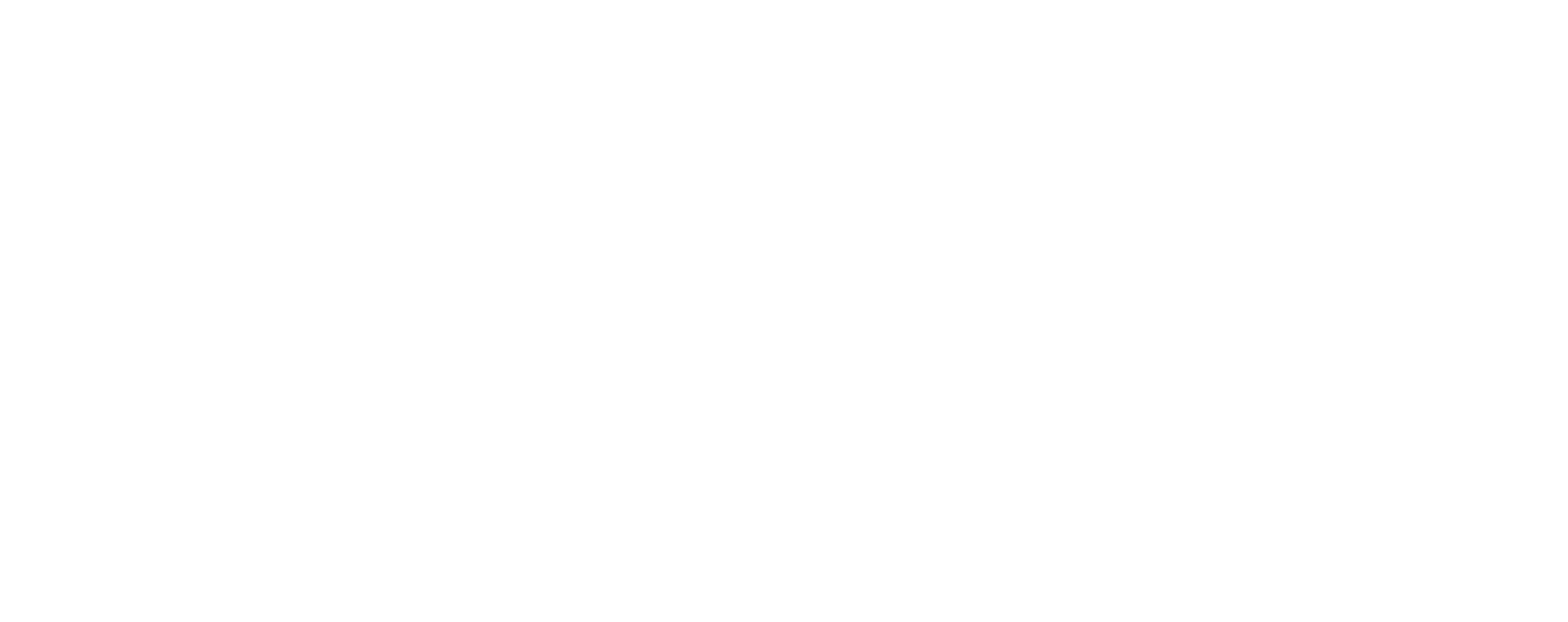 Instant System - Mobilty as a Service